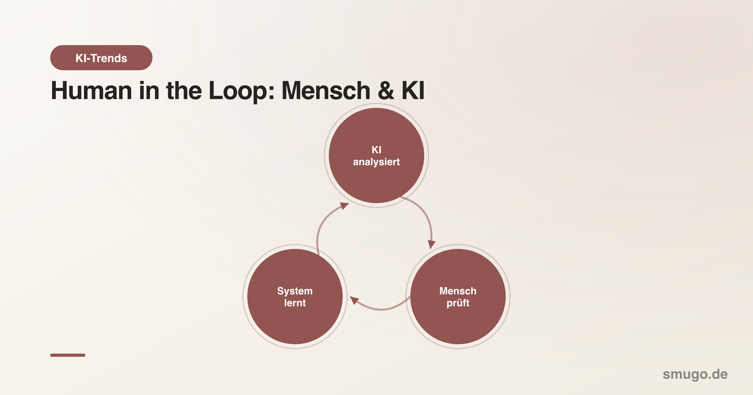 Der Human-in-the-Loop Prozess: KI analysiert, Mensch prüft, System lernt